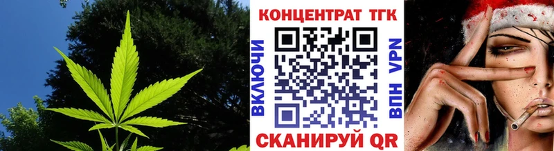 где продают   Пласт  ТГК гашишное масло 