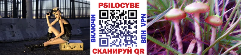 Псилоцибиновые грибы мицелий  где найти   Пласт 